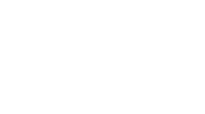 BSW GmbH